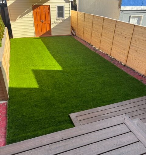Fence ideas