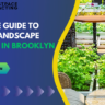 Backyard Landscape Renovation